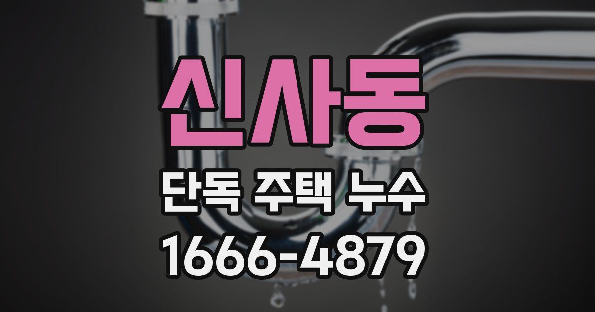 신사동 단독 주택 누수