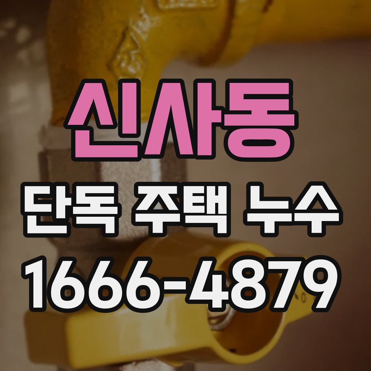 신사동 단독 주택 누수