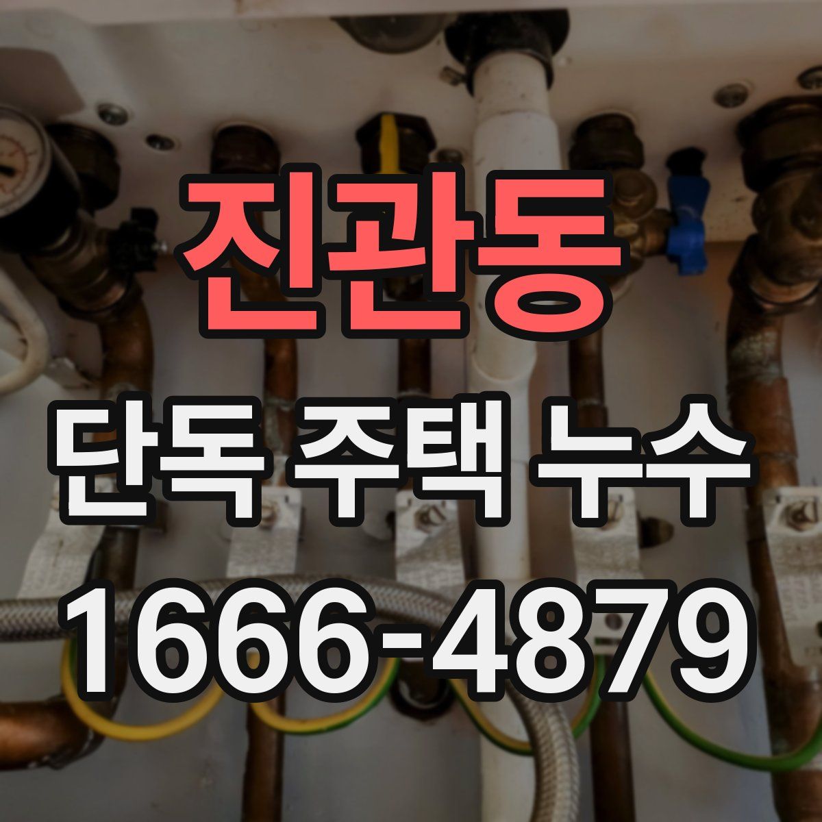 진관동 단독 주택 누수