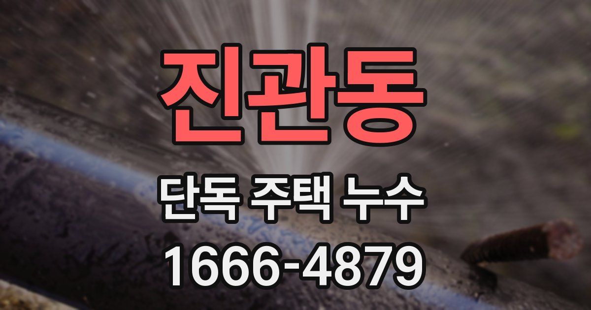 진관동 단독 주택 누수
