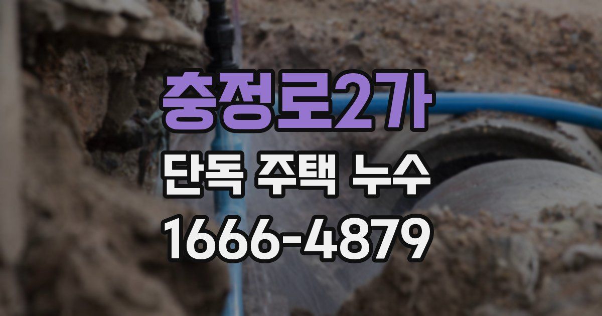 충정로2가 단독 주택 누수