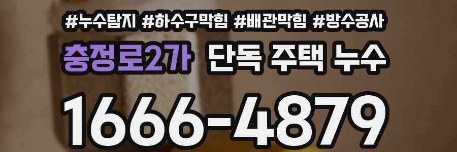 충정로2가 단독 주택 누수