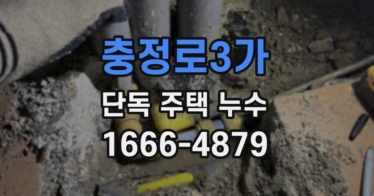 충정로3가 단독 주택 누수