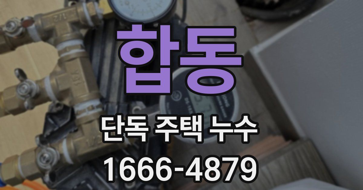 합동 단독 주택 누수
