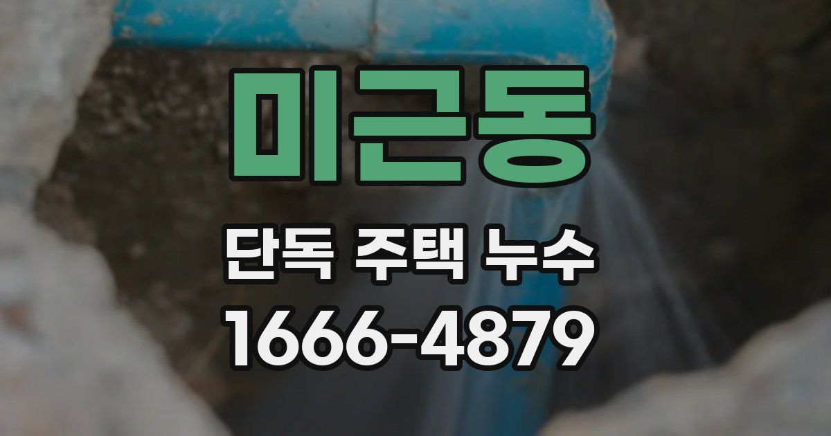미근동 단독 주택 누수