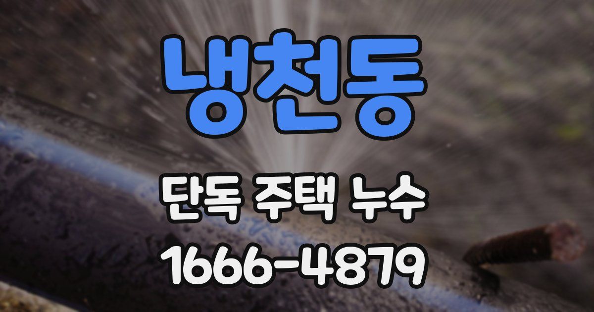 냉천동 단독 주택 누수