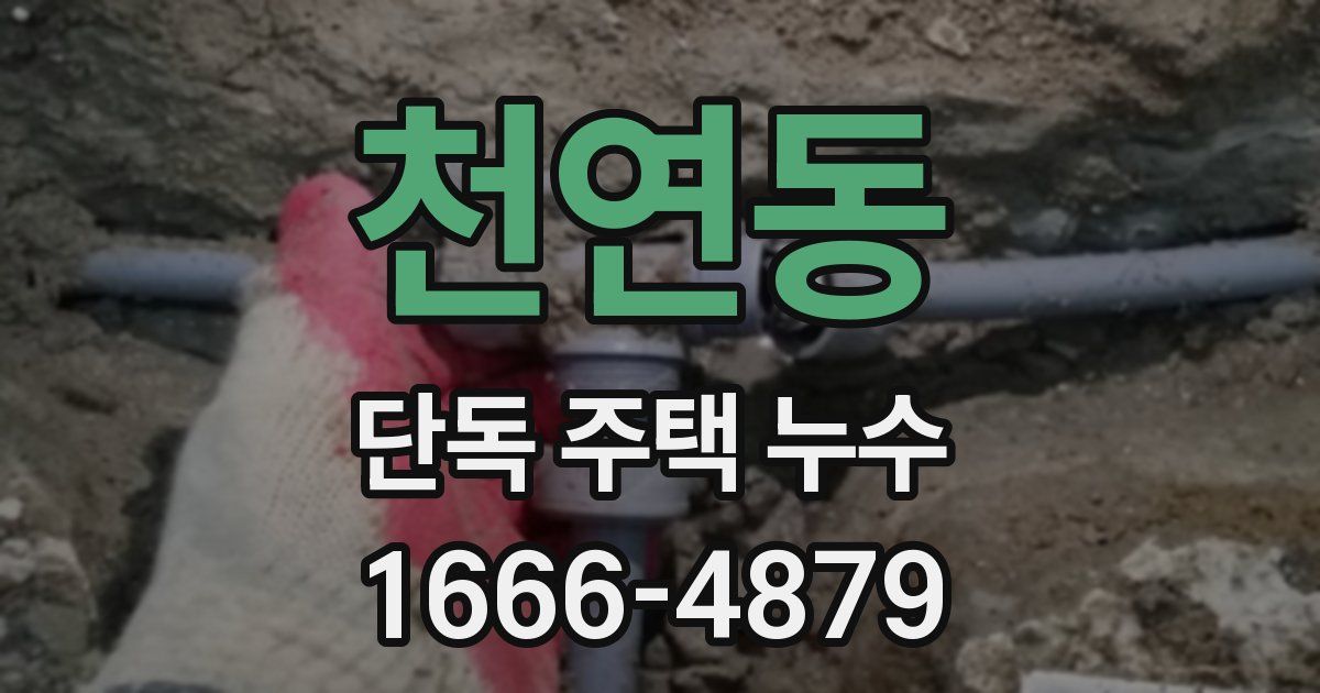 천연동 단독 주택 누수