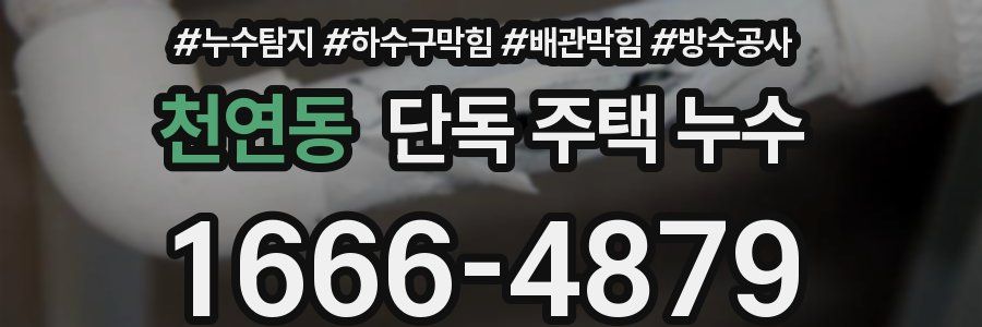 천연동 단독 주택 누수