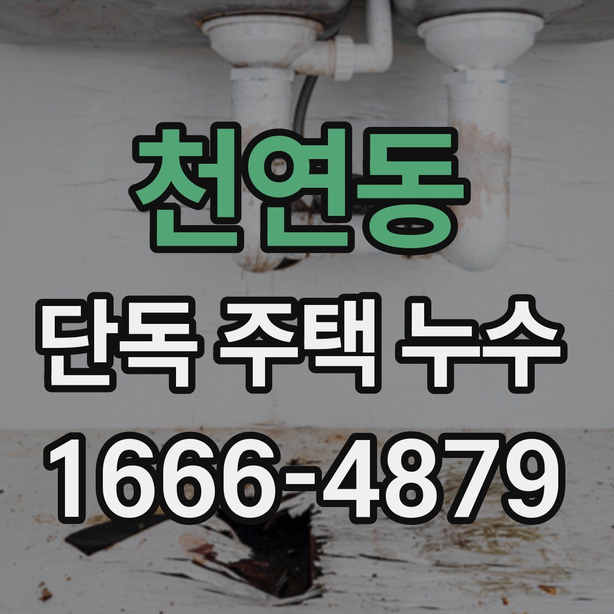 천연동 단독 주택 누수