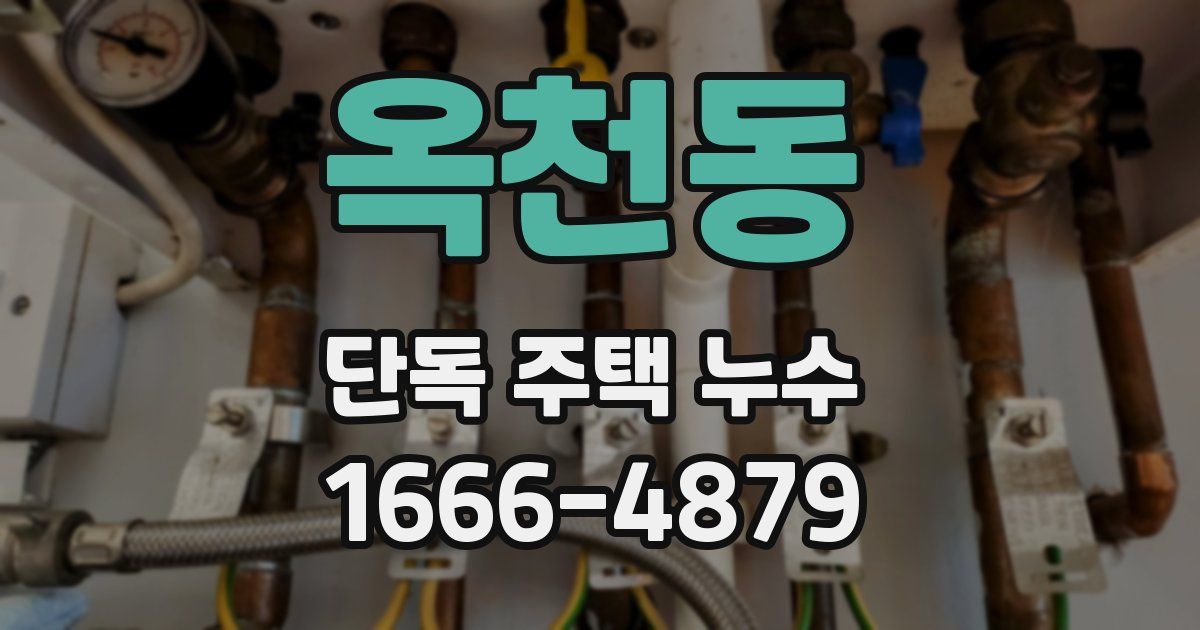 옥천동 단독 주택 누수