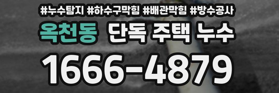 옥천동 단독 주택 누수