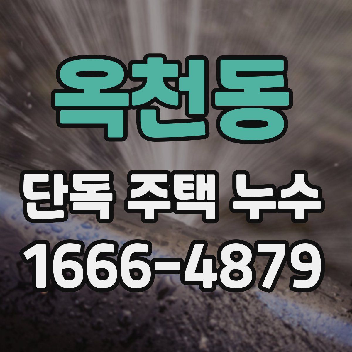 옥천동 단독 주택 누수