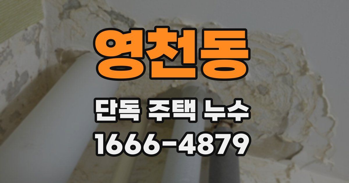 영천동 단독 주택 누수