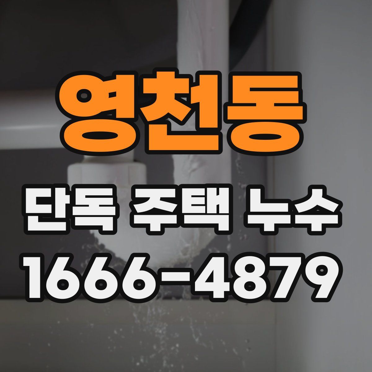 영천동 단독 주택 누수