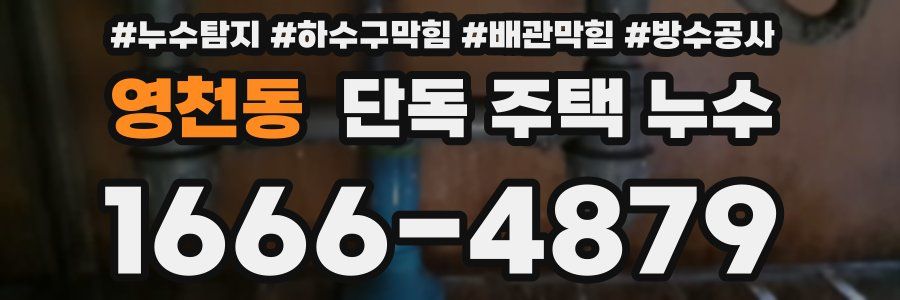 영천동 단독 주택 누수