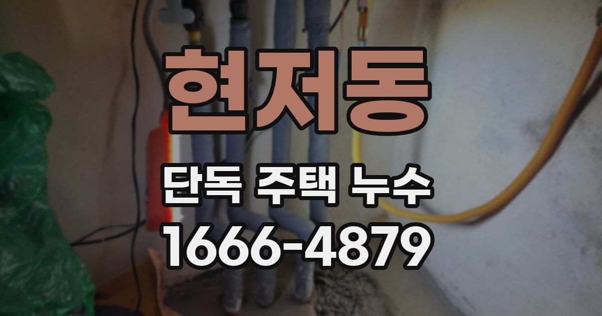 현저동 단독 주택 누수