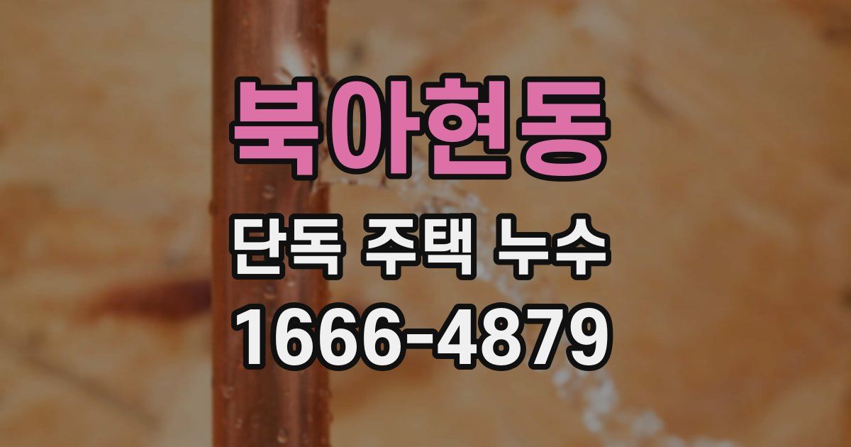 북아현동 단독 주택 누수
