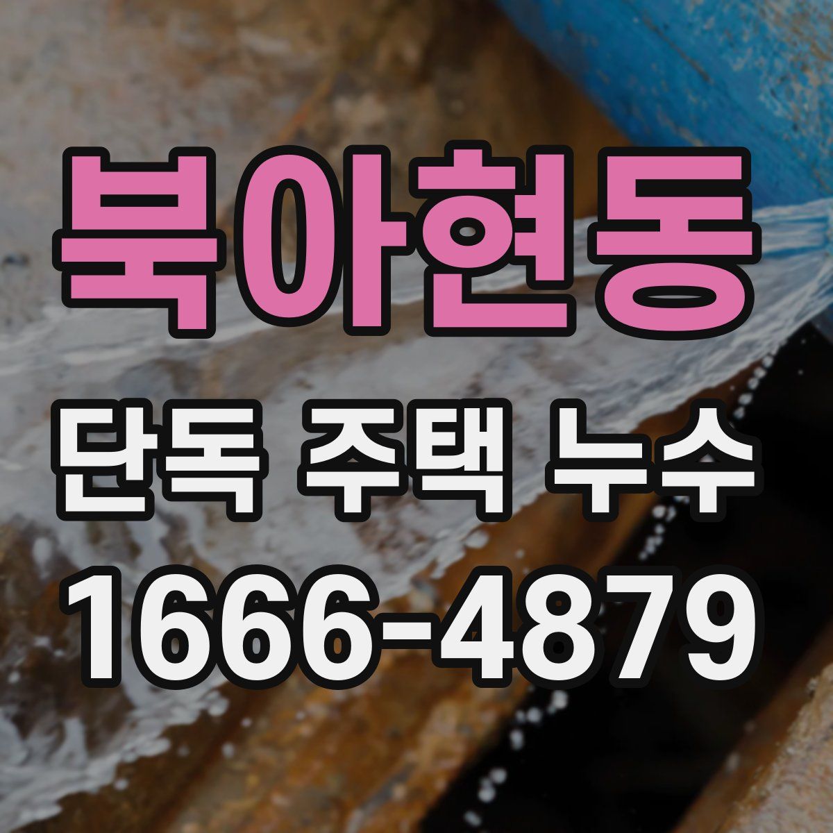 북아현동 단독 주택 누수