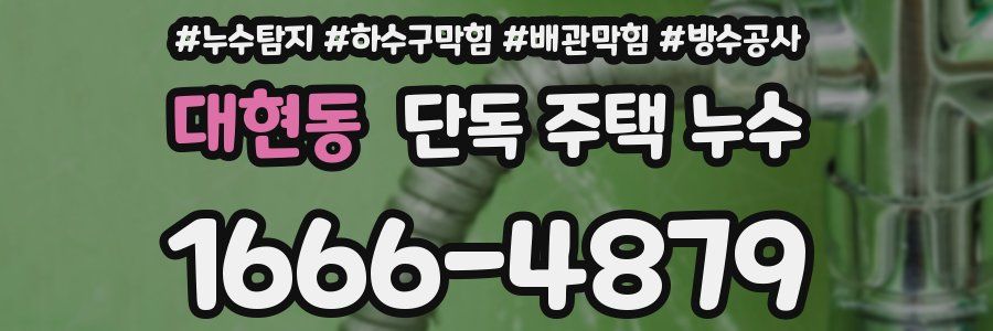 대현동 단독 주택 누수