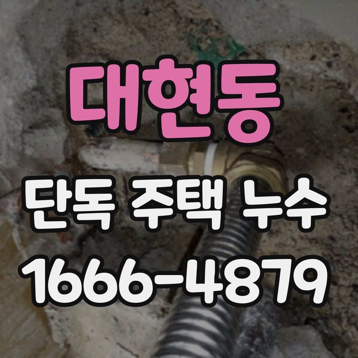 대현동 단독 주택 누수