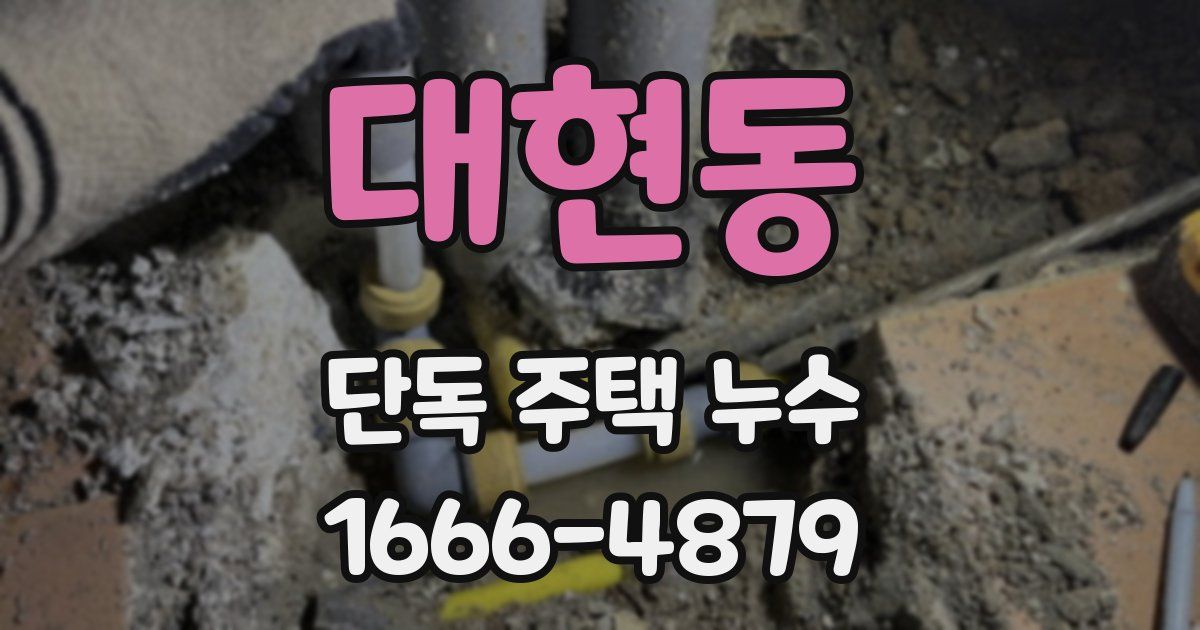 대현동 단독 주택 누수