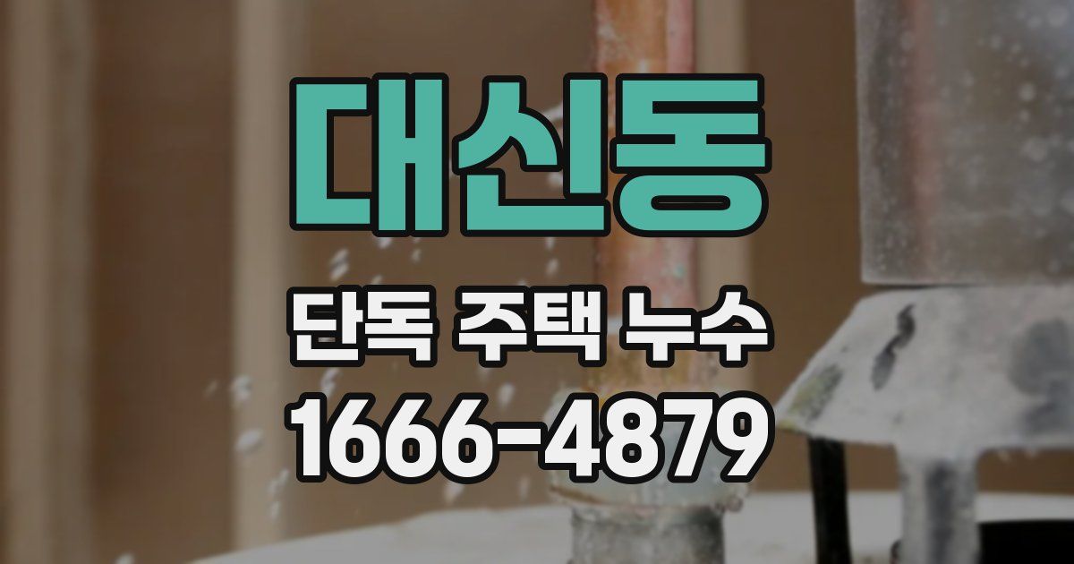 대신동 단독 주택 누수