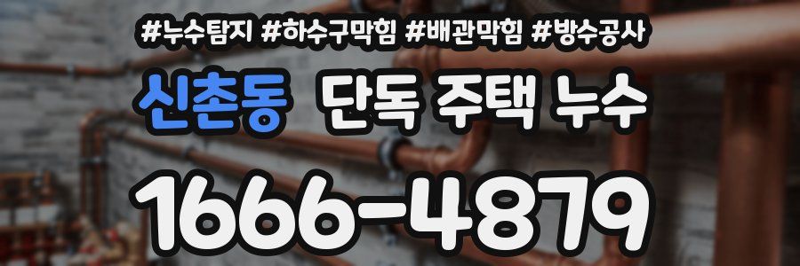 신촌동 단독 주택 누수