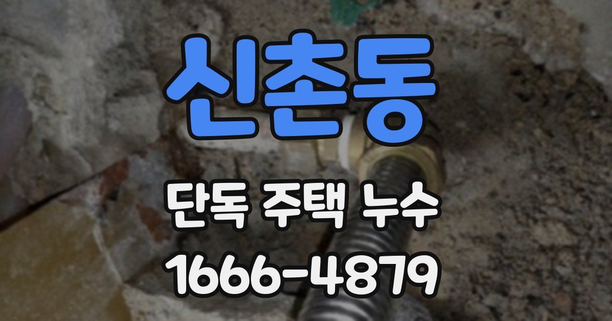 신촌동 단독 주택 누수