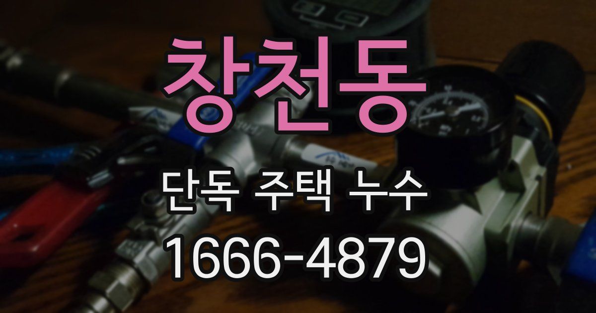 창천동 단독 주택 누수