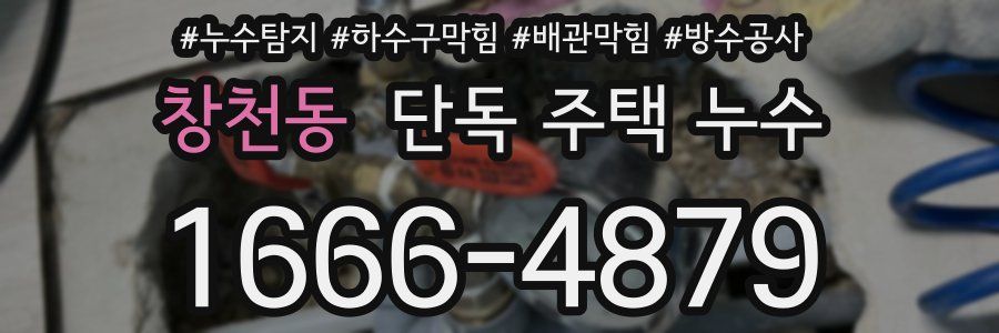 창천동 단독 주택 누수