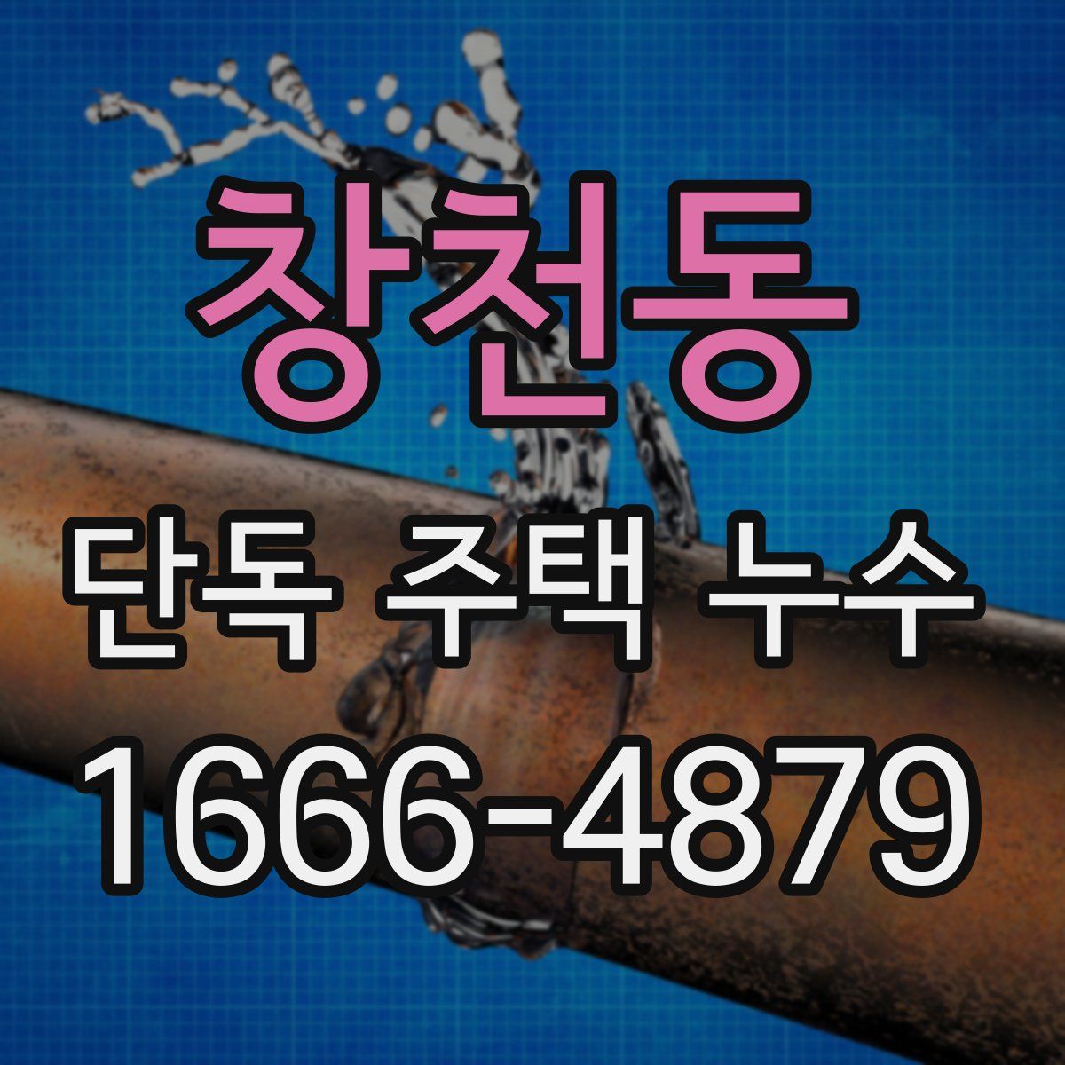 창천동 단독 주택 누수