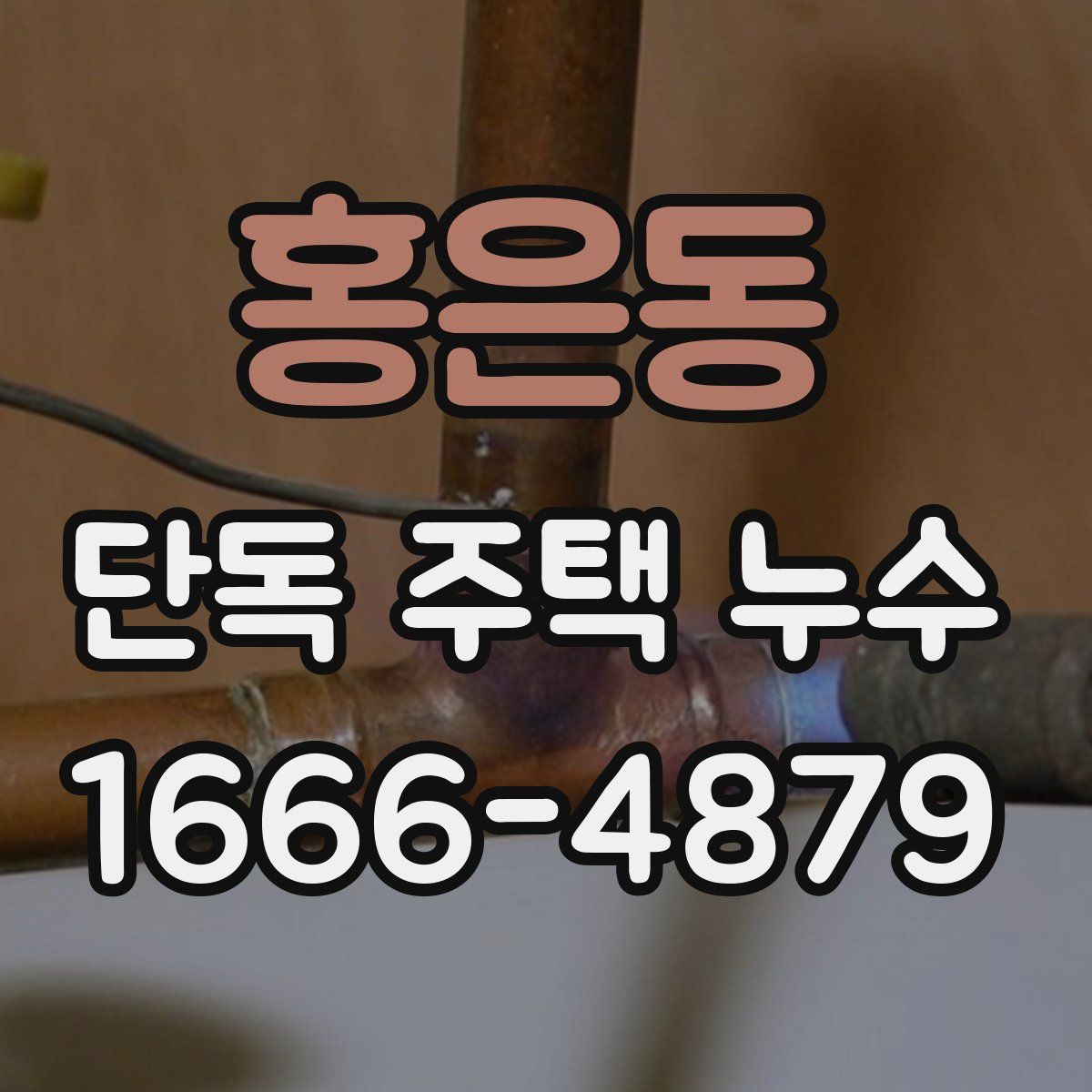 홍은동 단독 주택 누수