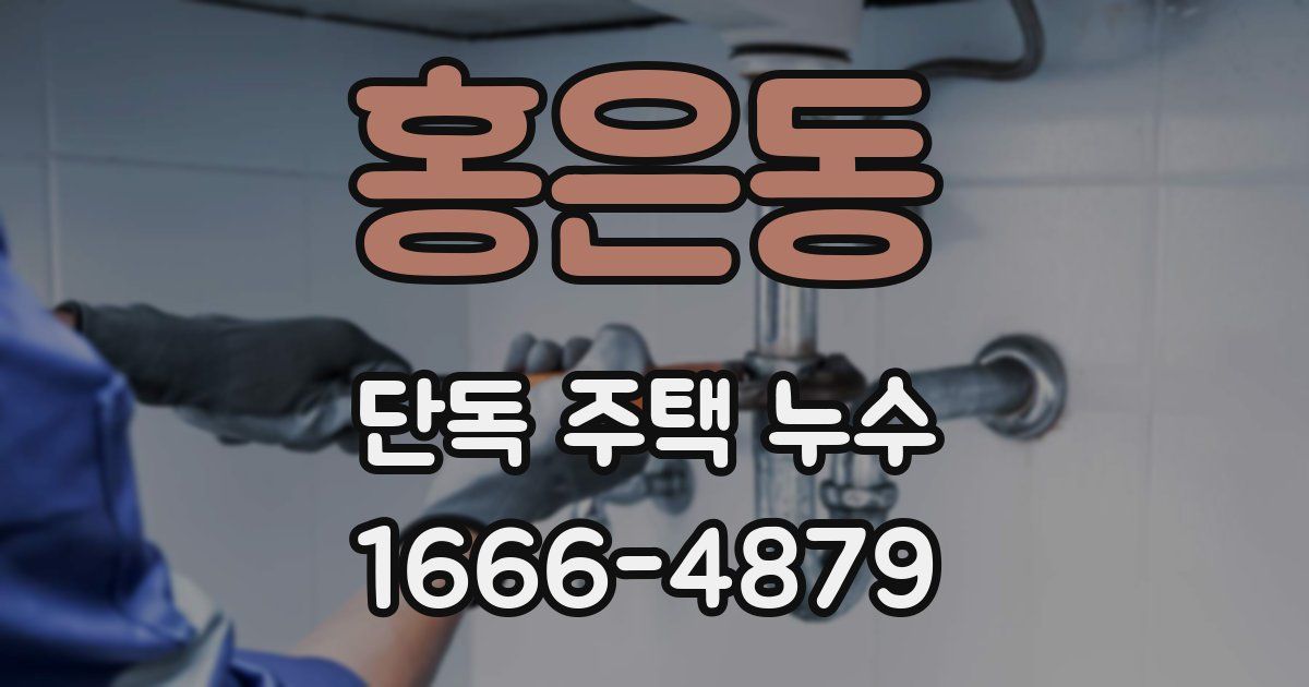 홍은동 단독 주택 누수
