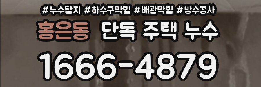 홍은동 단독 주택 누수