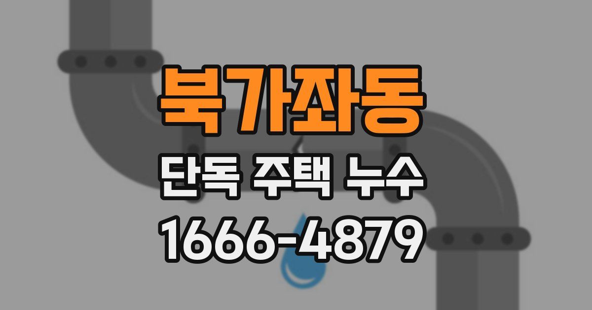 북가좌동 단독 주택 누수