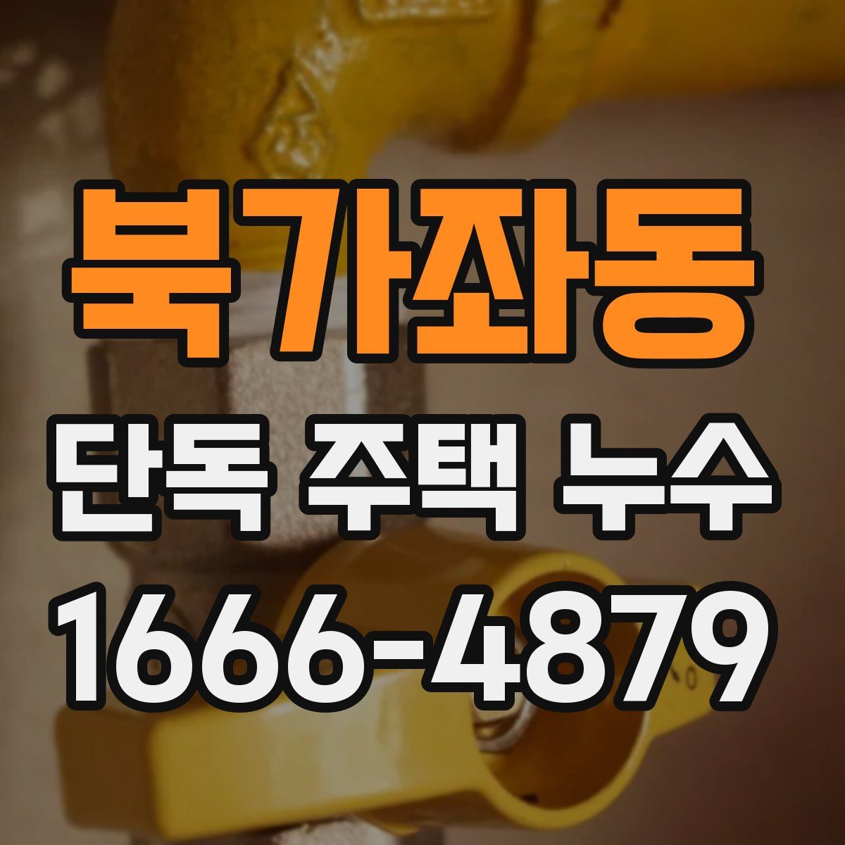 북가좌동 단독 주택 누수