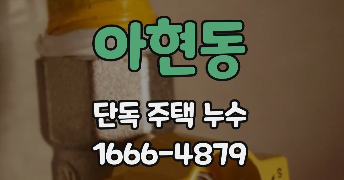 아현동 단독 주택 누수