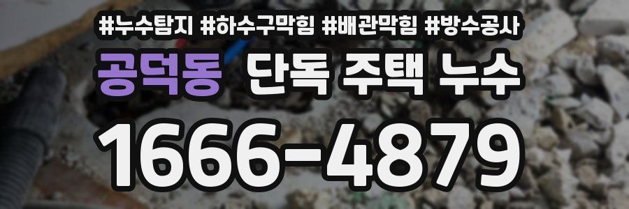공덕동 단독 주택 누수