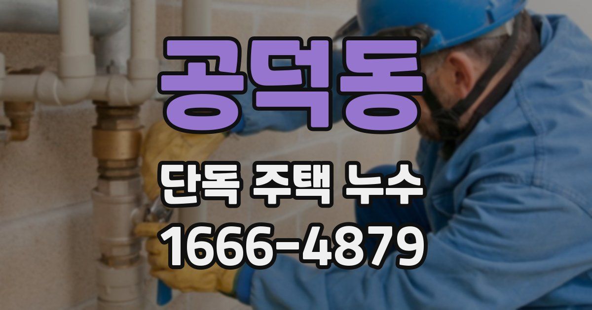 공덕동 단독 주택 누수