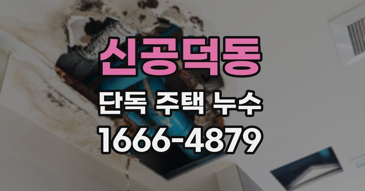 신공덕동 단독 주택 누수