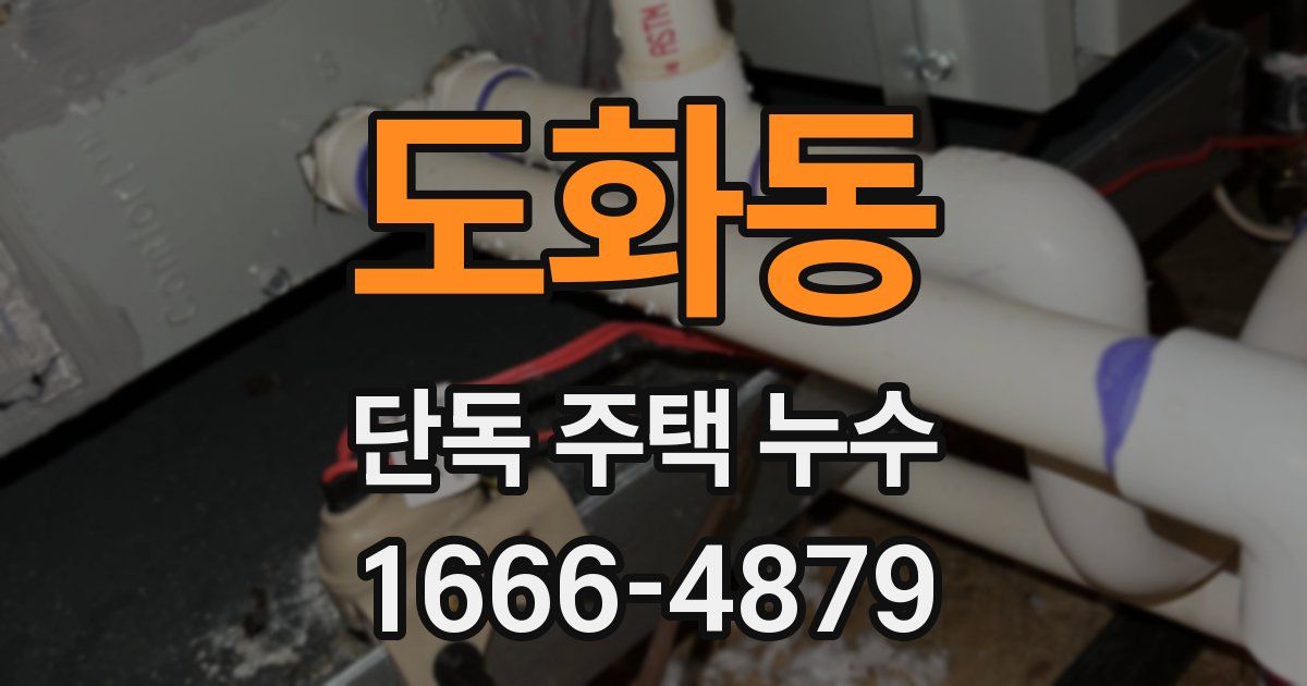 도화동 단독 주택 누수