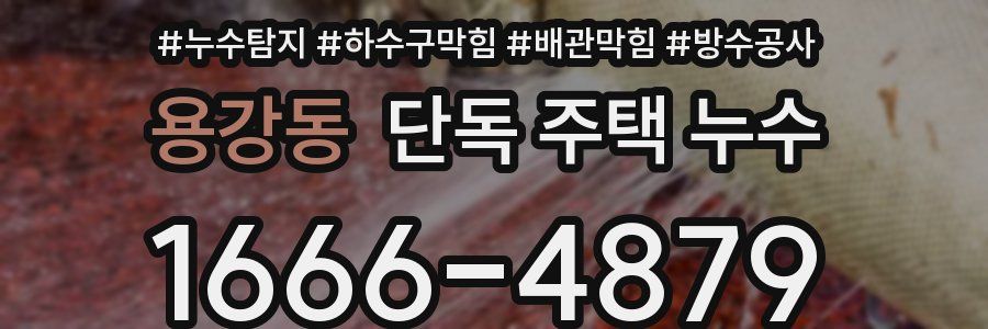 용강동 단독 주택 누수