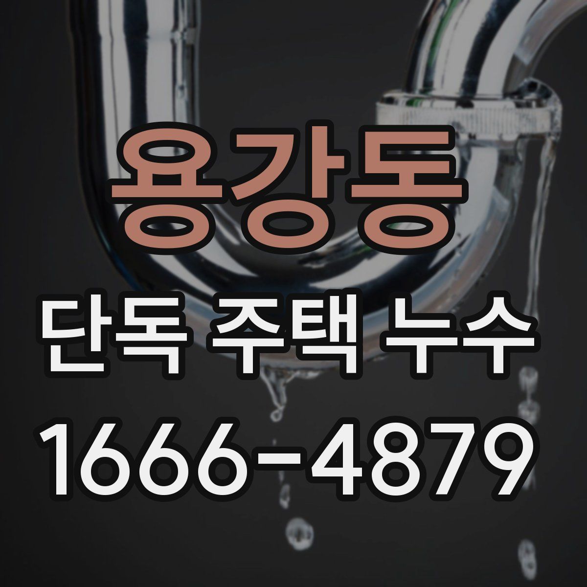 용강동 단독 주택 누수