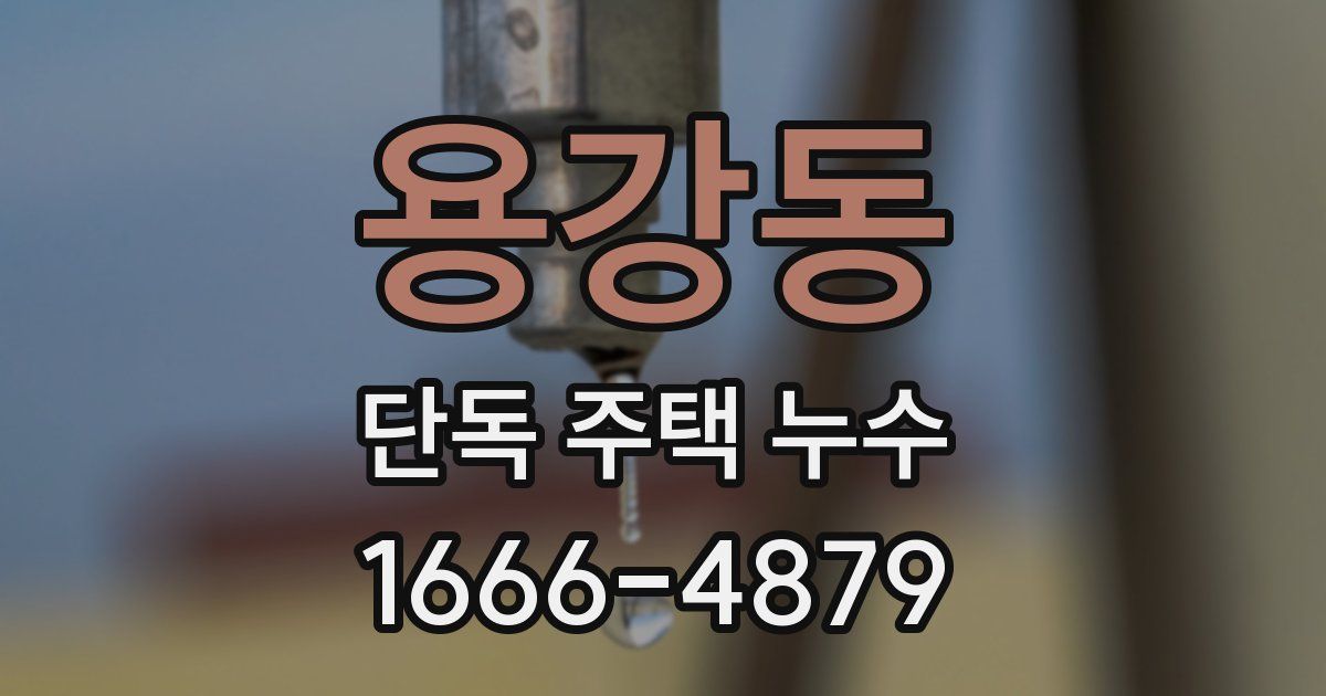 용강동 단독 주택 누수