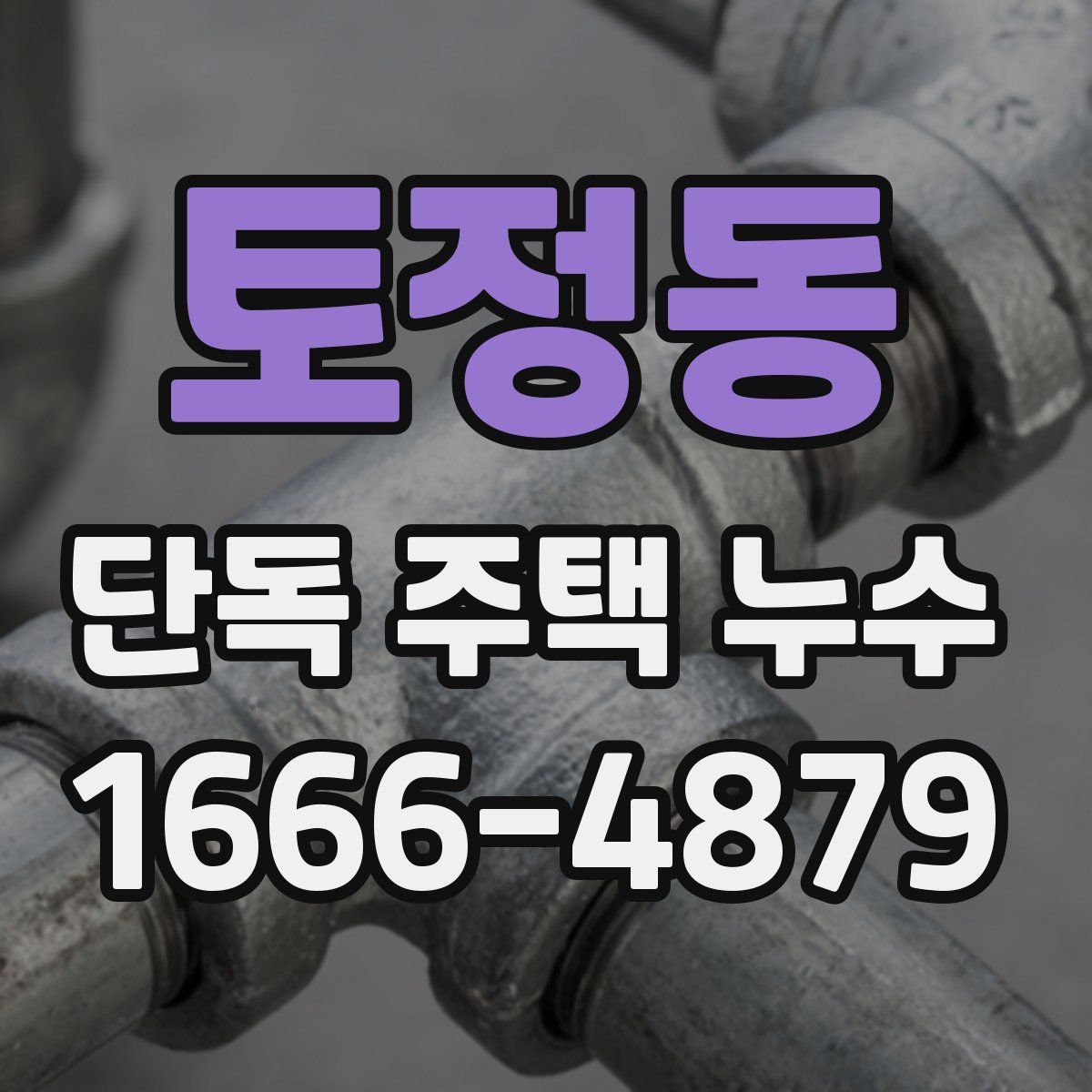 토정동 단독 주택 누수