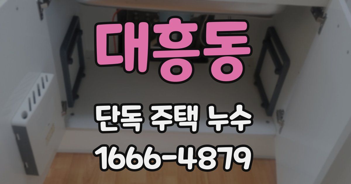 대흥동 단독 주택 누수