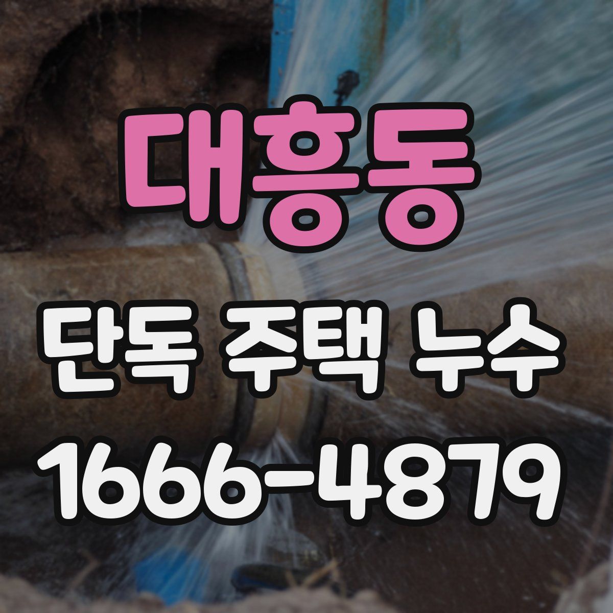 대흥동 단독 주택 누수