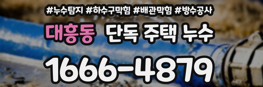 대흥동 단독 주택 누수
