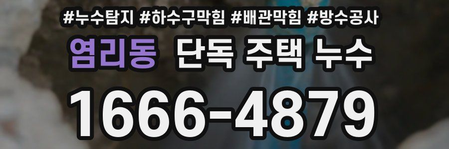 염리동 단독 주택 누수