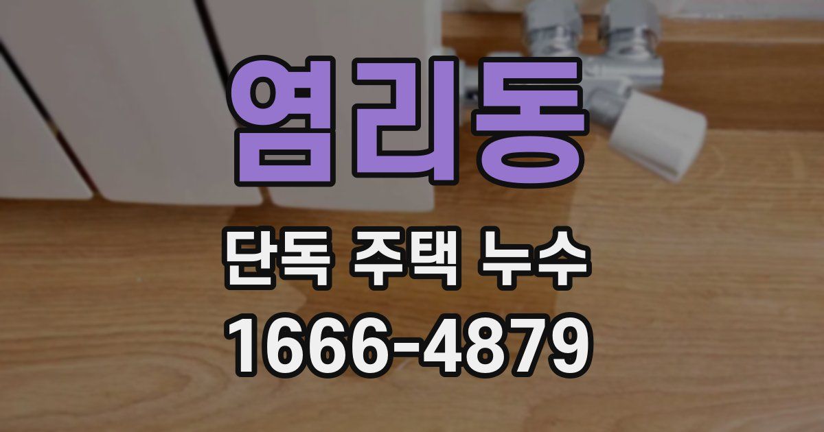 염리동 단독 주택 누수